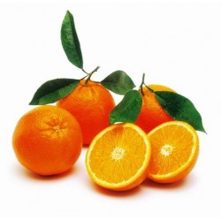 Saldžiųjų apelsinų eterinis...